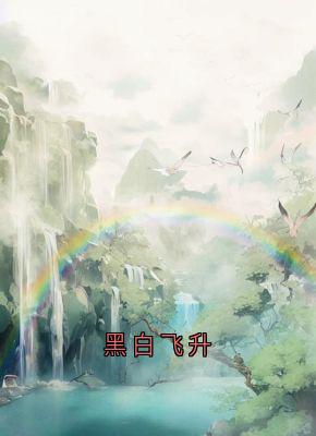 黑白飞升