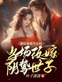 魅力王妃赵慎纪云舒