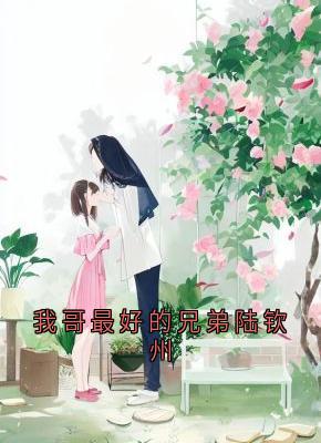 我哥最好的兄弟陆钦州