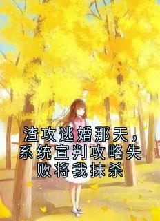 渣攻逃婚那天，系统宣判攻略失败将我抹杀