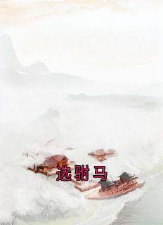 选驸马